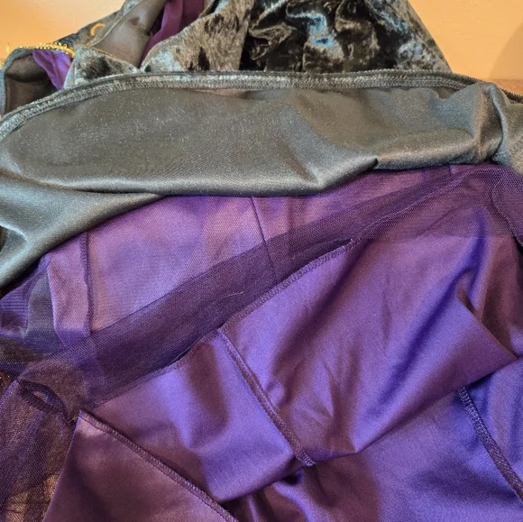 Disney Hocus Pocus Winifred Sanderson Cosplay Costume Dress Adult Womens 2X - Picture 4 of 8